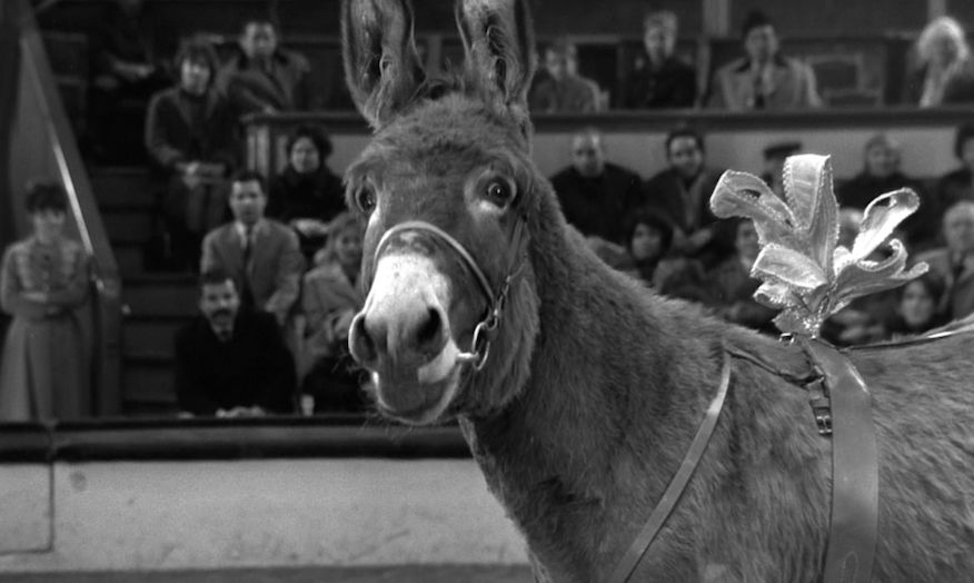 Η Χαμένη αμεσότητα ανθρώπου και φύσης στον κινηματογράφο των Ρομπέρ Μπρεσσόν και Λουίς Μπουνιουέλ