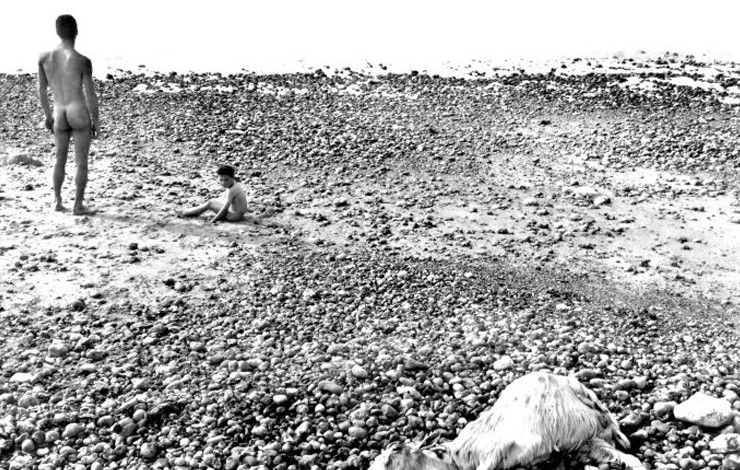 Η Μοναξιά της Μικρού Μήκους Ταινίας